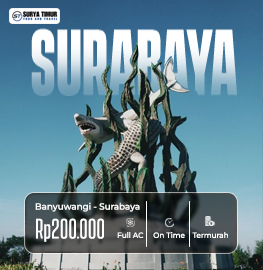 Banyuwangi ⇄ Surabaya